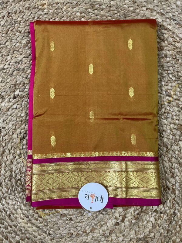 IMG_1844 Kanjivaram