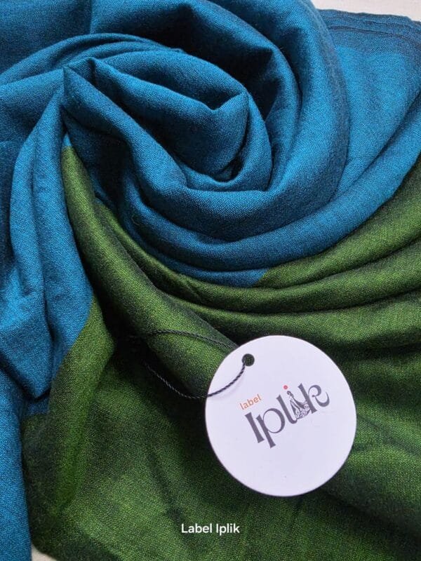 LI-ACR-01_03 Blue Green Acrylic Cotton Saree