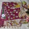 Kalamkari Nizam Border Saree